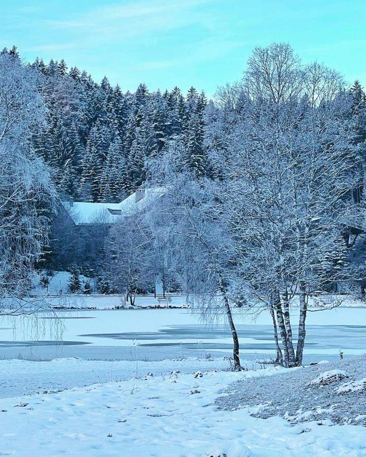 Lakeside Apartments Seefeld Зеефелд в Тирол Екстериор снимка